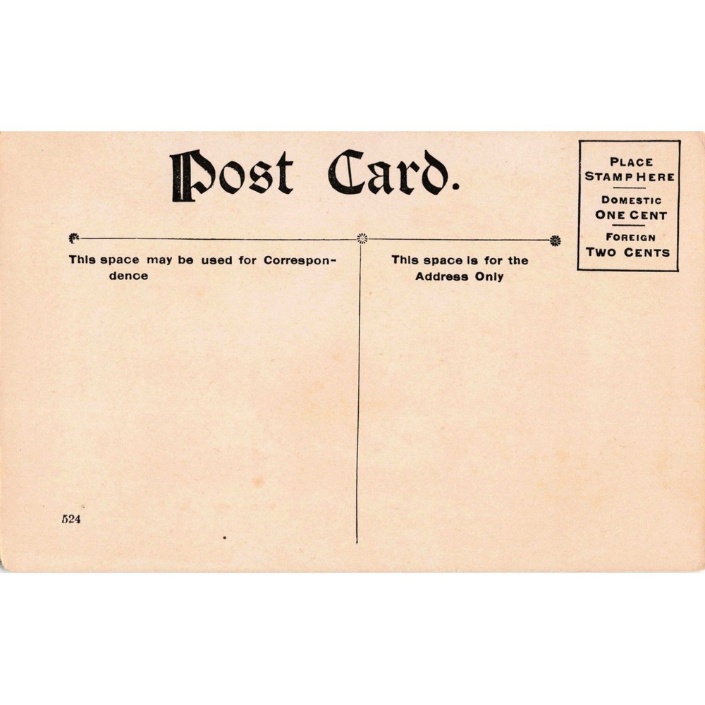 Vintage 1905 Buy A Pup Postcard U. Co. N.Y. Boy with Puppies Undivided Back 524 - Picture 2 of 2